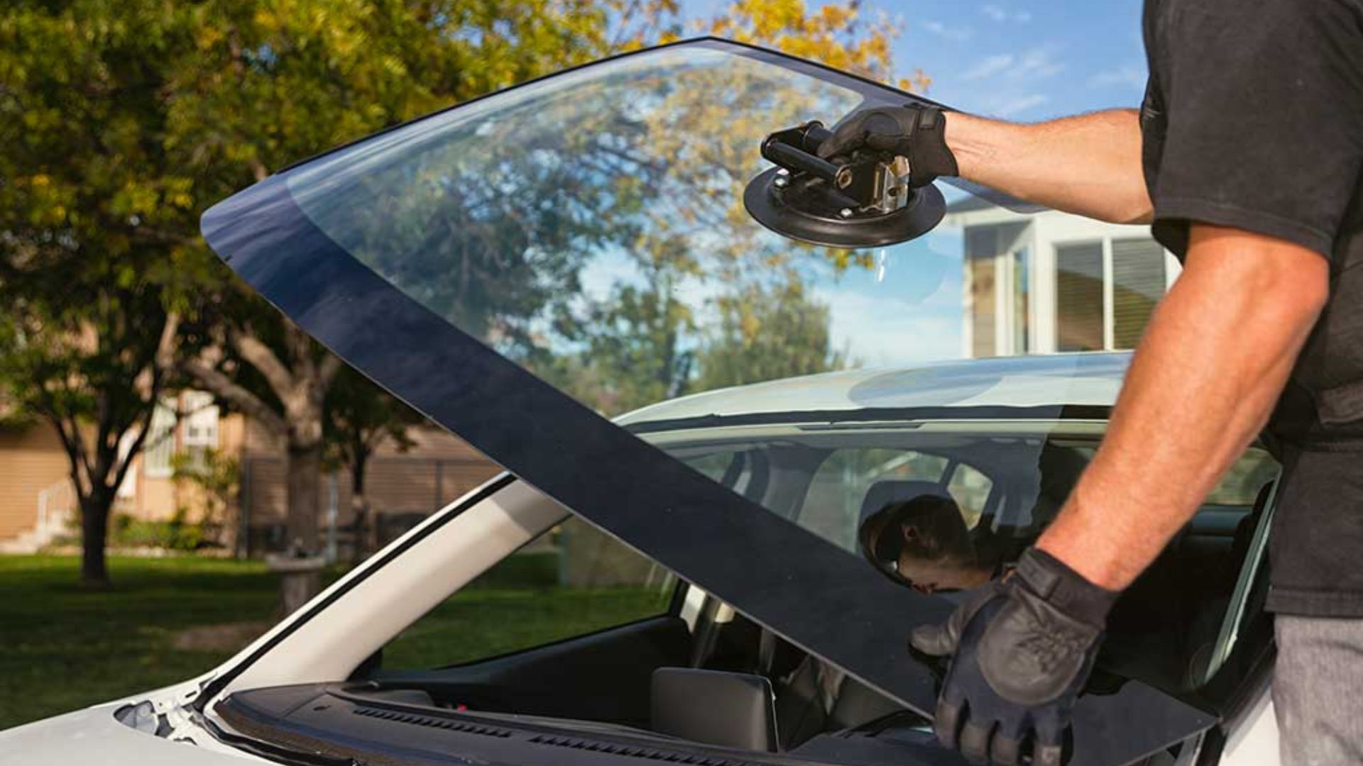 What Type of Vehicle Do You Need Auto Glass Replacement For